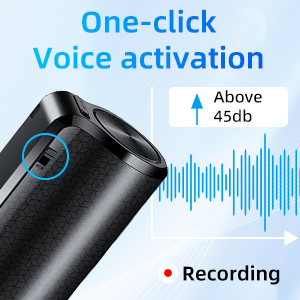 One-click voice activation
