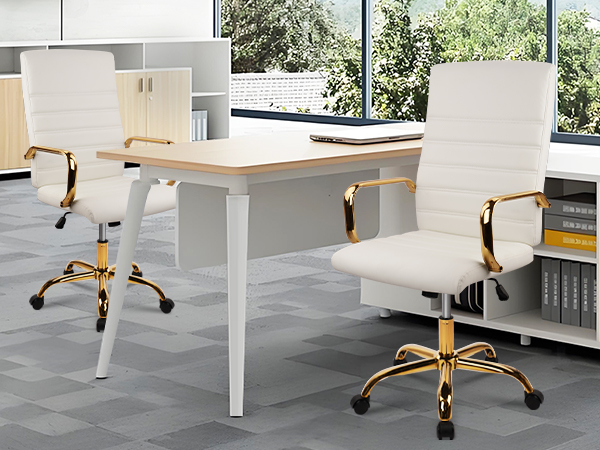 Leather Executive Computer Desk Chairs