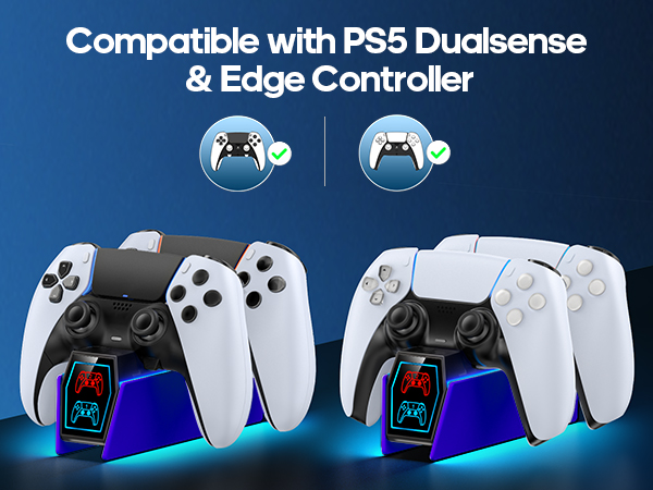 PS5 Controller Charger