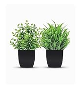 fake plant