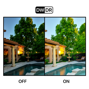 Advanced DWDR Technology