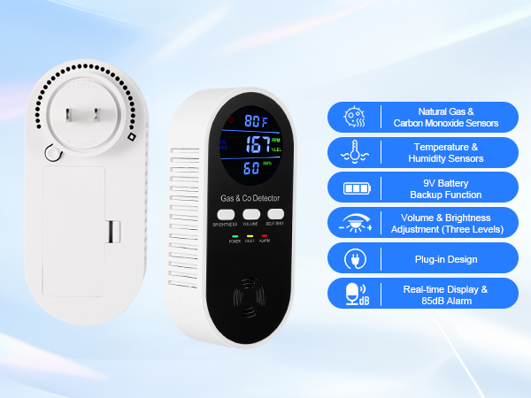 Natural gas detector and carbon monoxide detectors