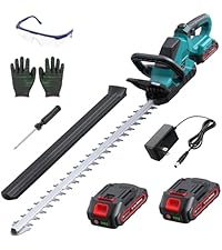 https://m.media-amazon.com/images/I/41rDqhhxBGL.__AC_SR200,225___.jpg