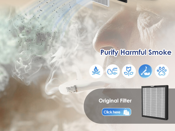 Air Purifiers for Home Large Room