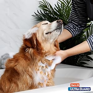 shampoo lifestyle