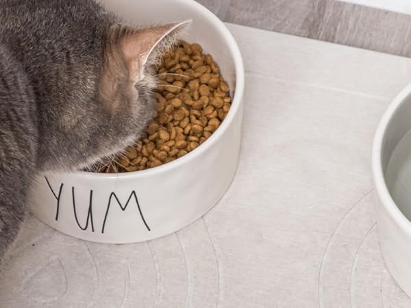 absorbent stone mat for dog bowls pet feeding station floor protector