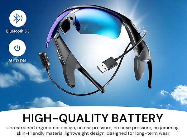 High Quality Battery