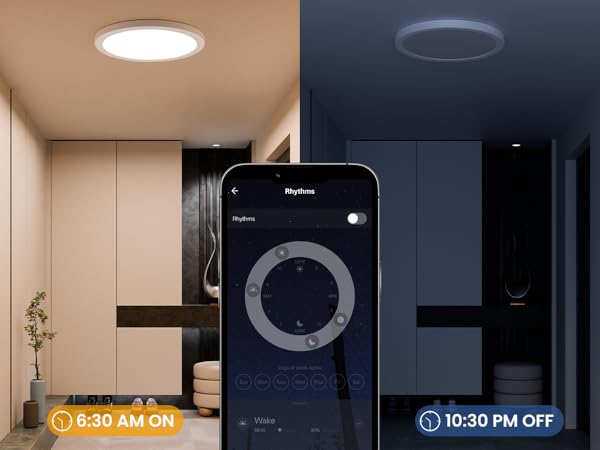 Smart Ceiling Light