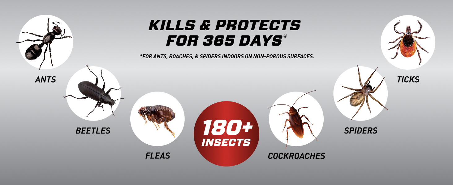 Protects for 365 Days