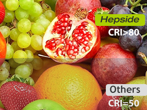 led kitchen ceiling light