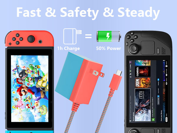 Charger for Switch