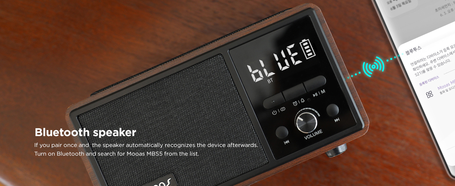 Bluetooth Speaker