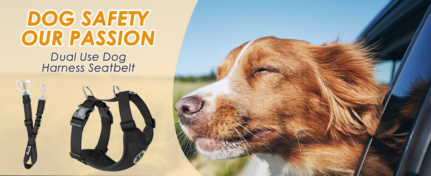 dog harness seatbelt