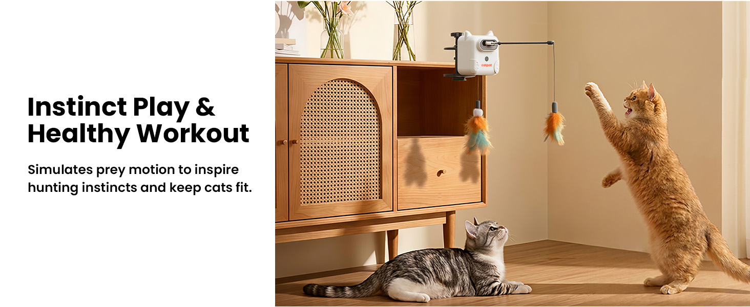 cat toy 611-1