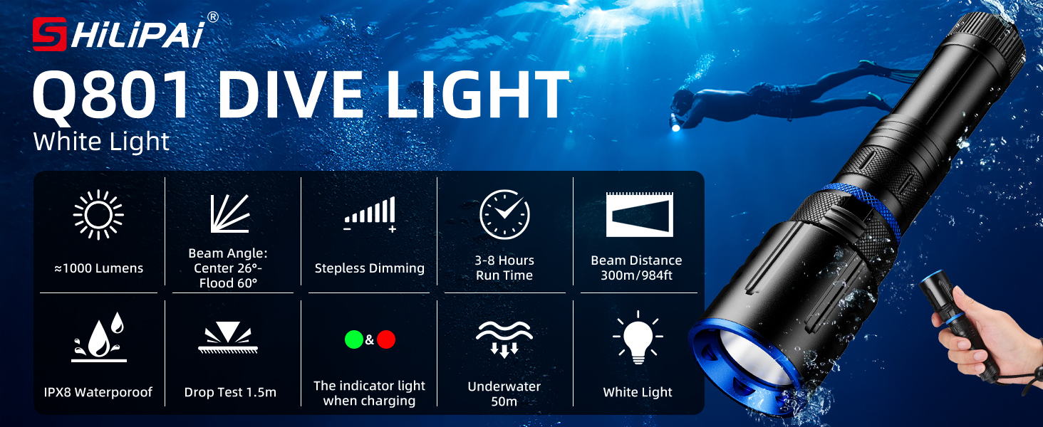 dIVE LIGHT