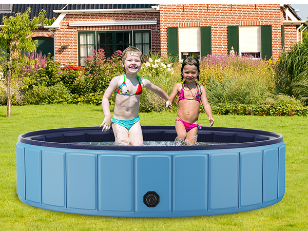 dog pool