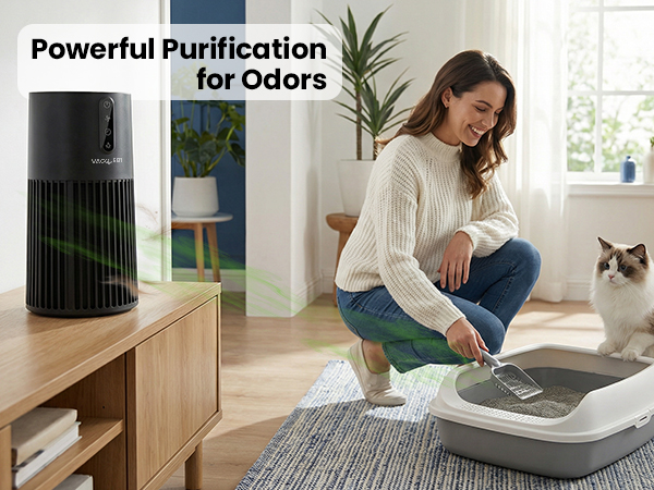 hepa air purifier smart wifi air purifiers for bedroom for home pets large room office kitchen