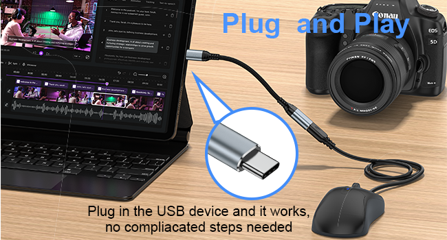 USB Female to USB C Male Converter