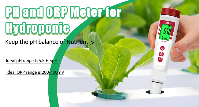 pH for hydroponic