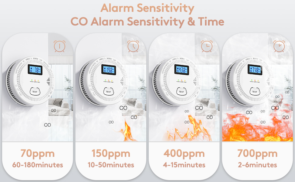 carbon monoxide detectors/smoke