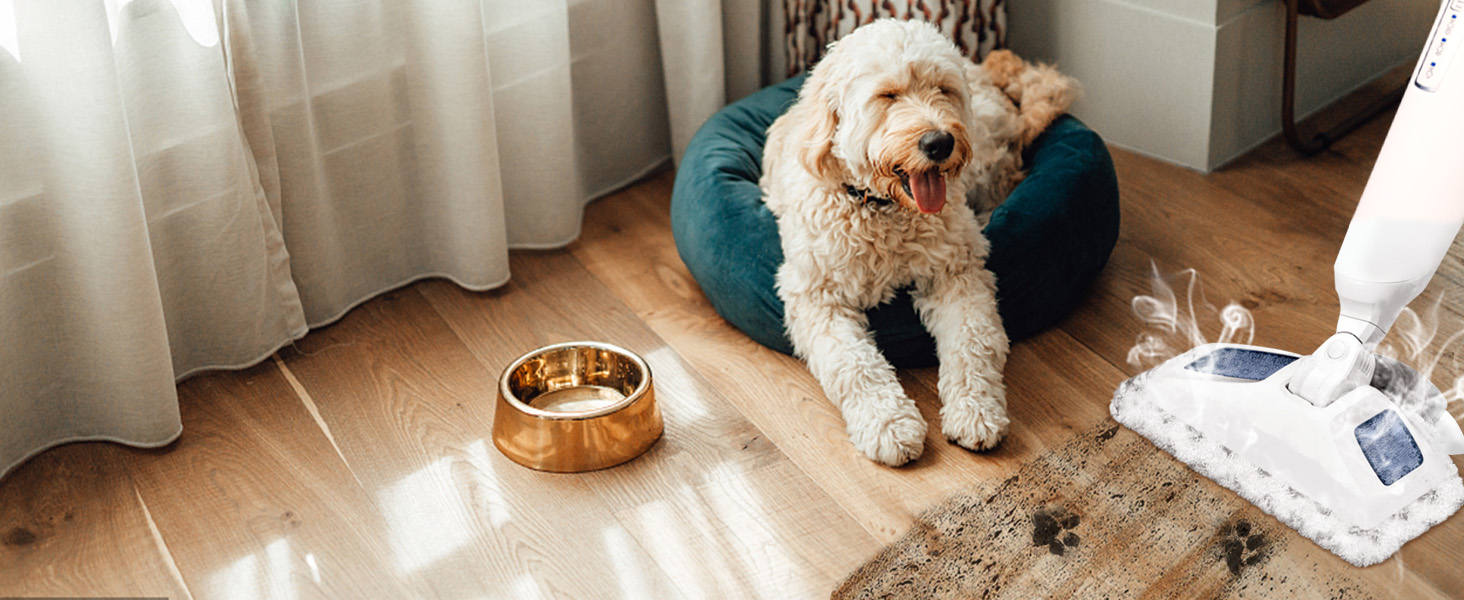 bissell steam mop replacement pads 2685a