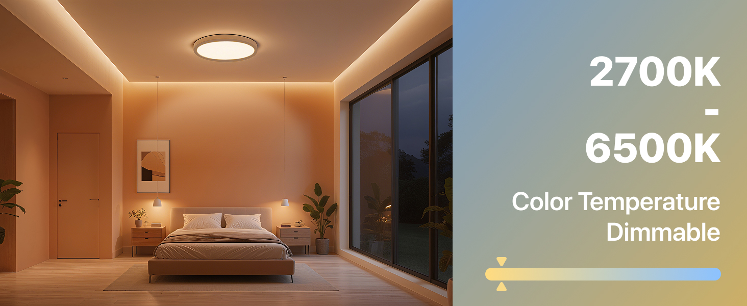 flush mount ceiling light 2