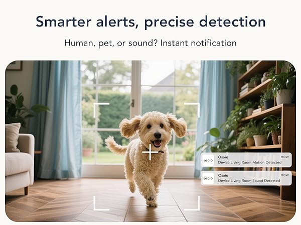 cameras for home security