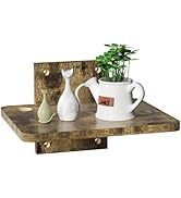 WALI Floating TV Shelf, 1 Tier Projector Shelf for DVD Player, Routers, Game Console, Cable Boxes...