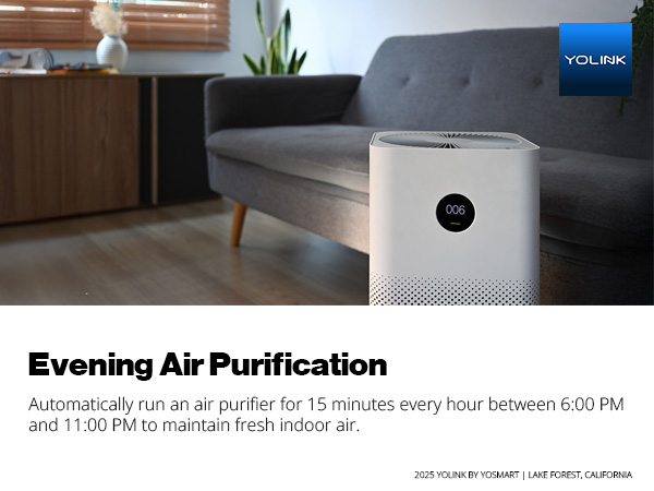 Evening Air Purification 