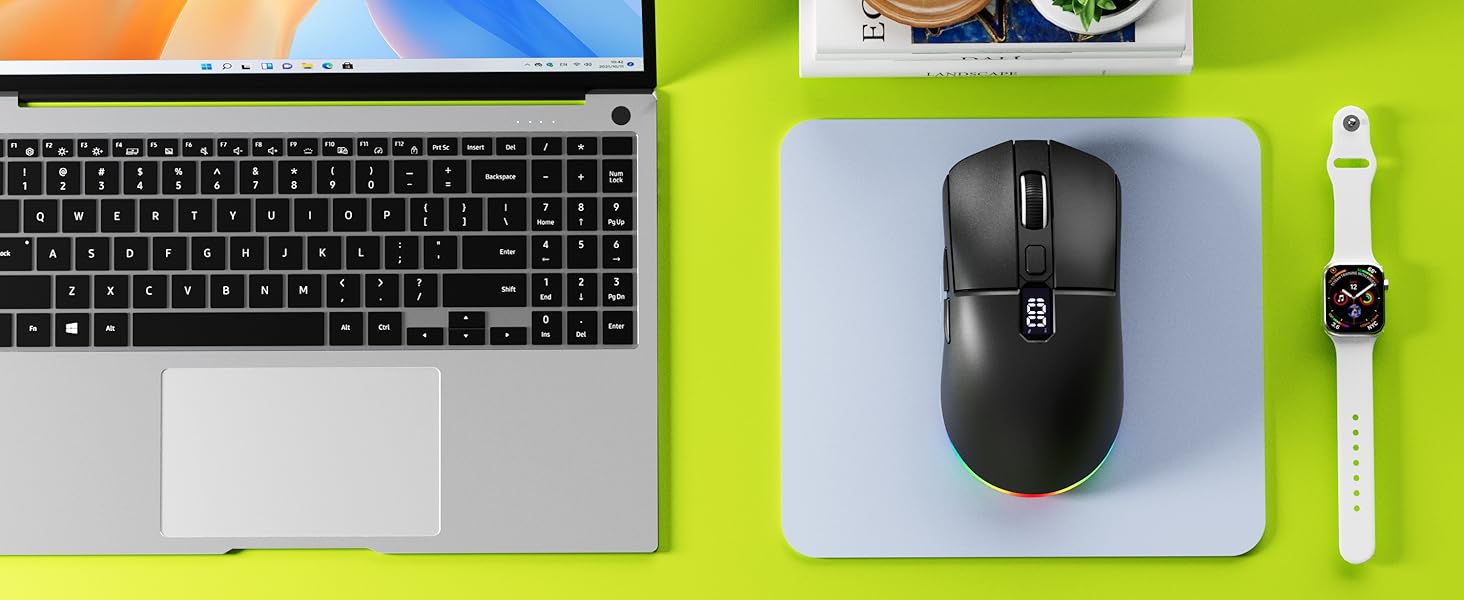 mouse