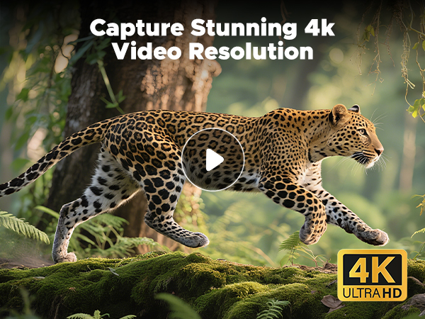 Night Vision Goggles