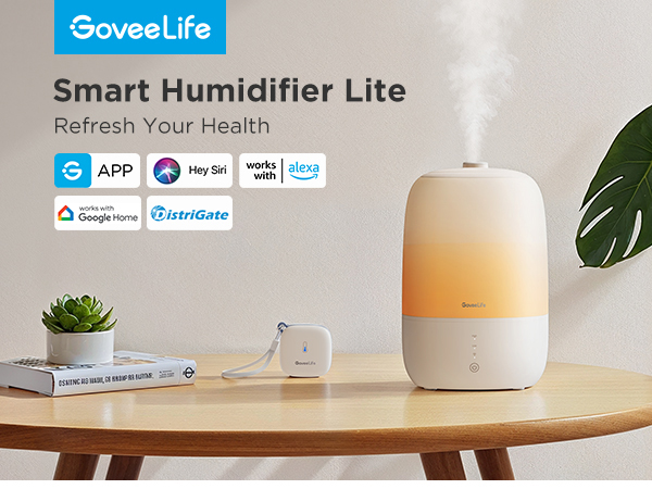 smart humidifier