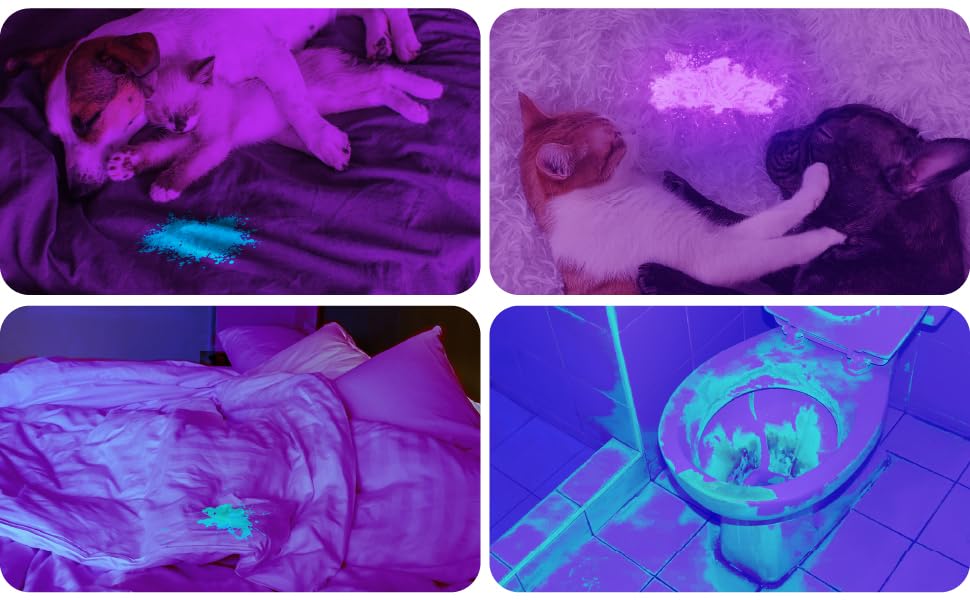 Four-panel image showing cats in purple-tinted lighting. Panels feature cats on fabric, a glowing object, and a cat near a toilet bowl, suggesting blacklight or UV illumination effects.
