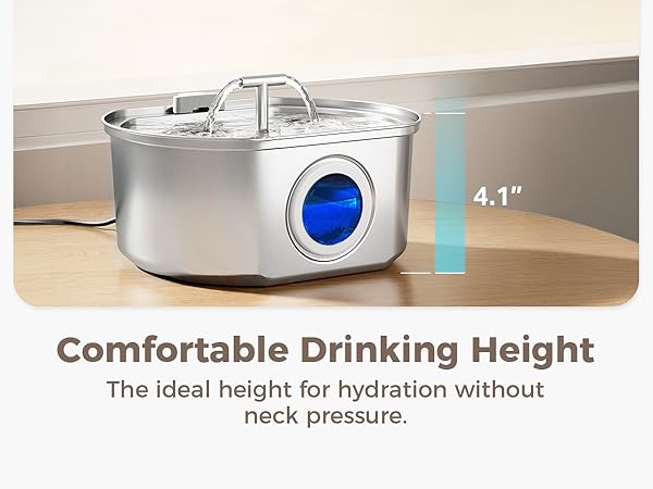 stainless steel water fountain for cats