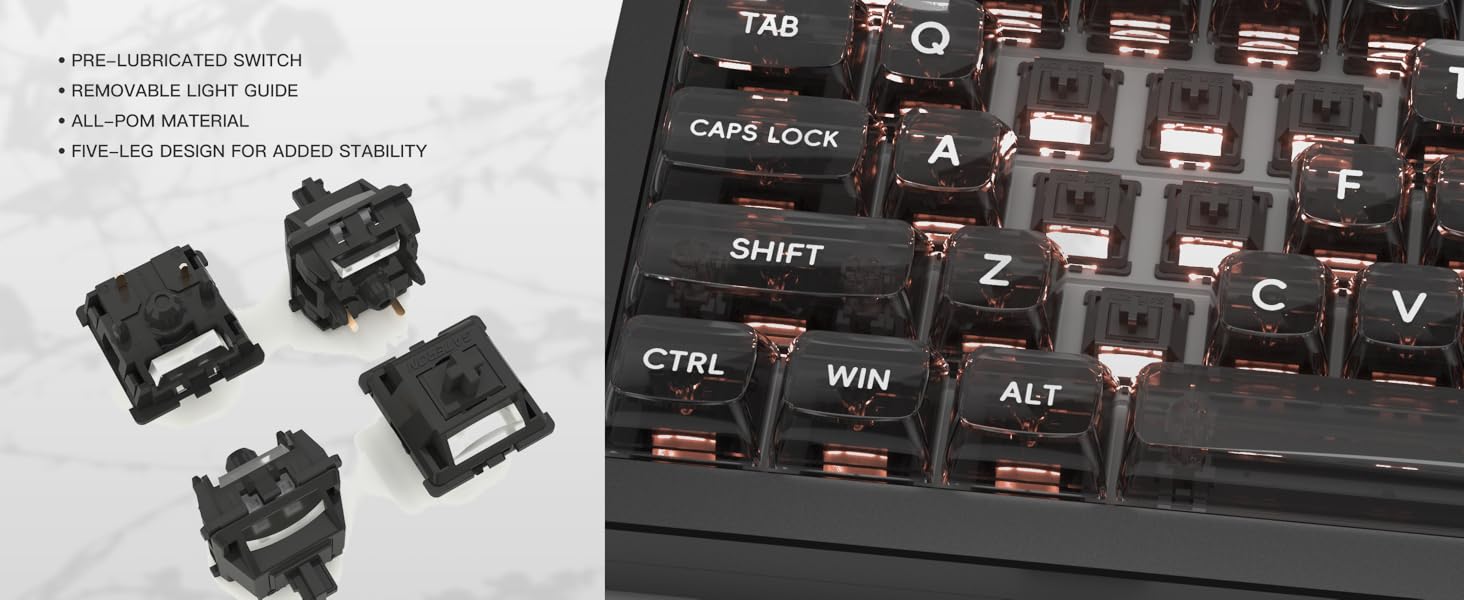 Gateron Oil King Ghost Pro Switches