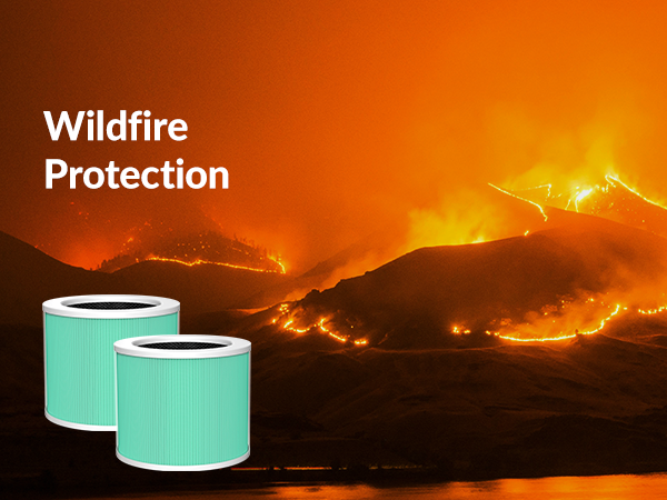 air purifiers for home