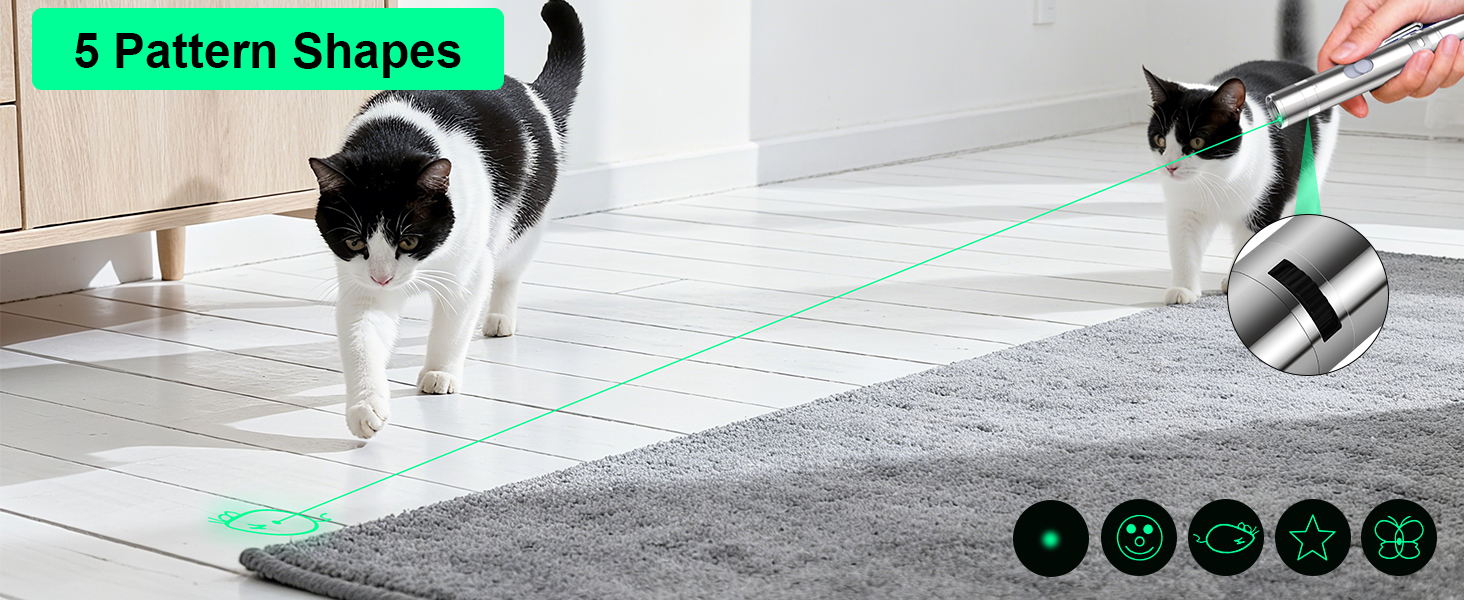 cat toys