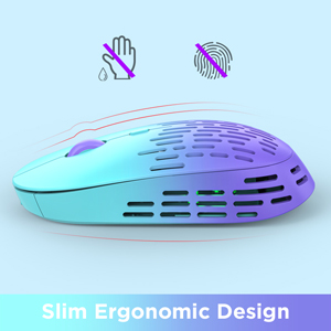 RAPIQUE R-03 Gradient wireless mouse A+??