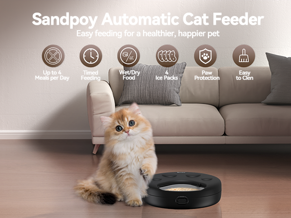 automatic feeder