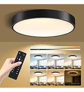 Lightania 13 Inch Flush Mount Ceiling Light with Remote Control &amp; Night Light, 5CCT Dimmable Ceil...