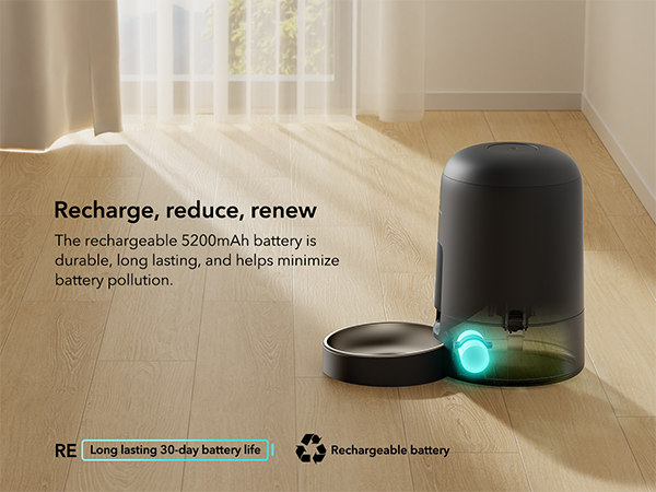 cat feeder automatic