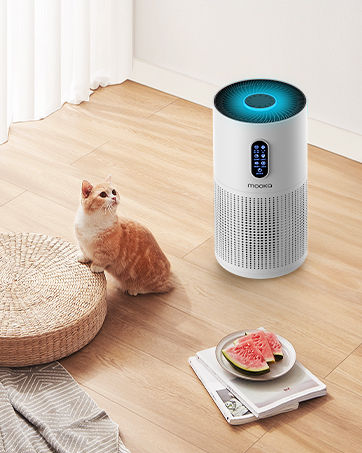 air purifiers for pets