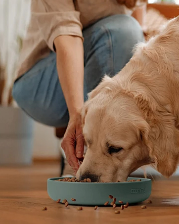 Food Scale