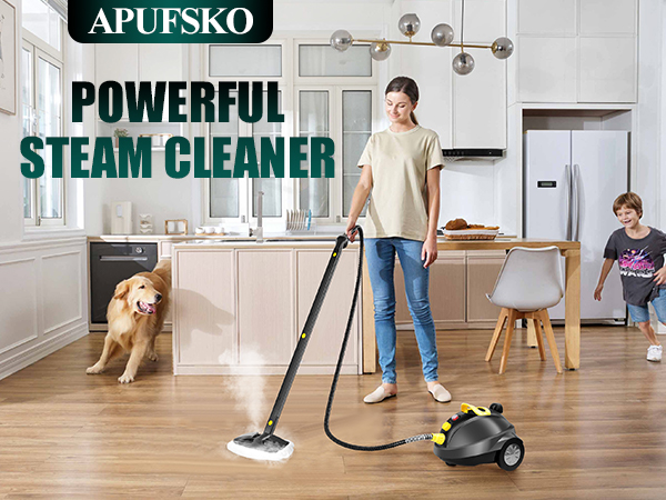 steam cleaner