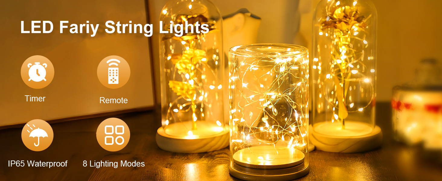 fairy lights with remote
