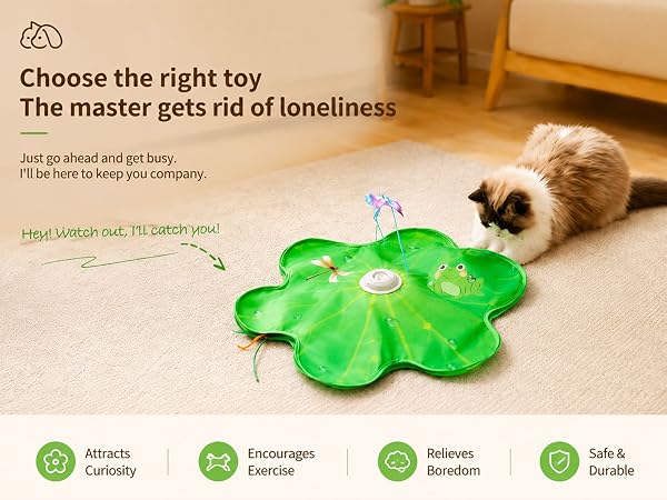Pet toy