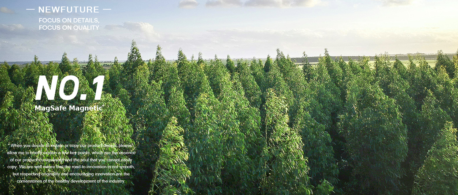 iPhone 16 Pro Max Case