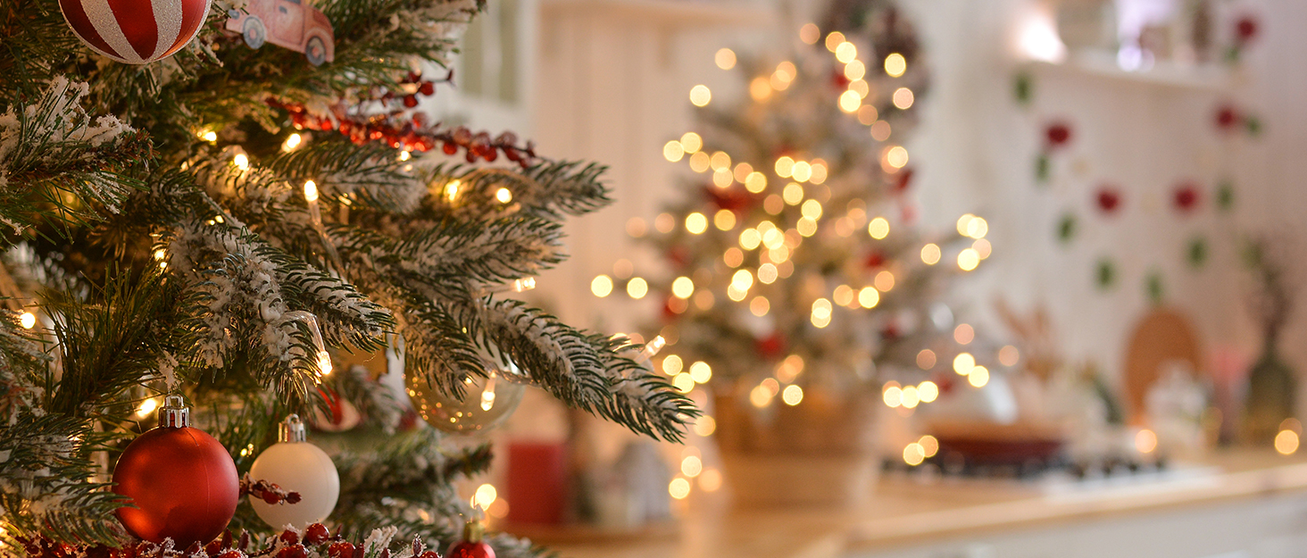 TOMEEM Kitchen Appliance always give life better choices.