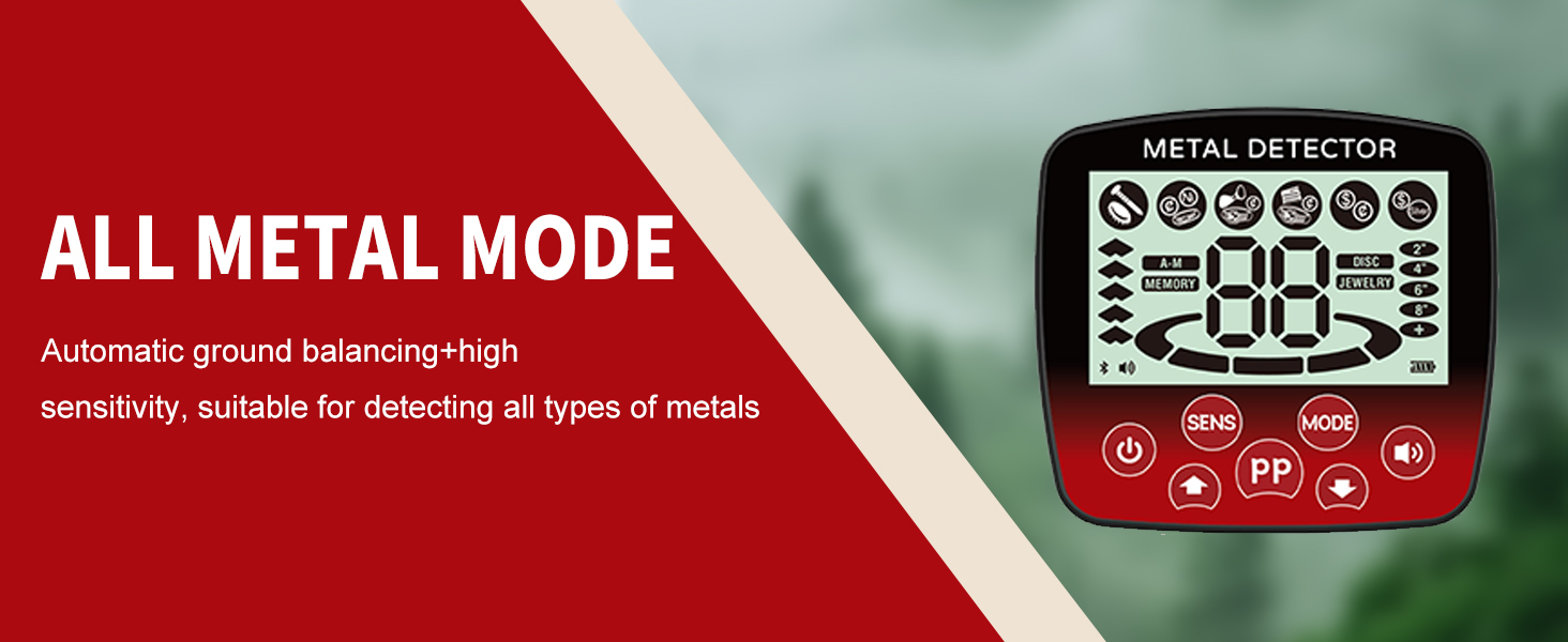 metal detector