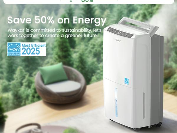 dehumidifier for basement
